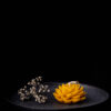 flos aureus flos aureus