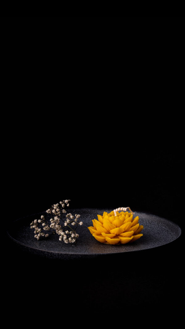 flos aureus flos aureus
